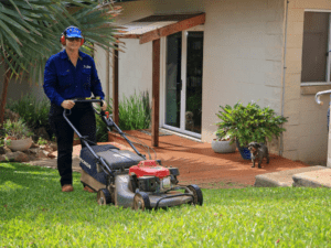 How to start a lawn mowing business